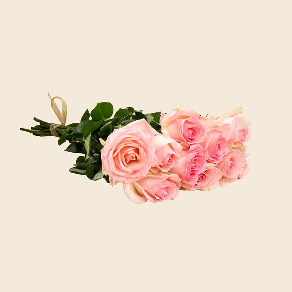09 10 Light Pink Roses Bunch