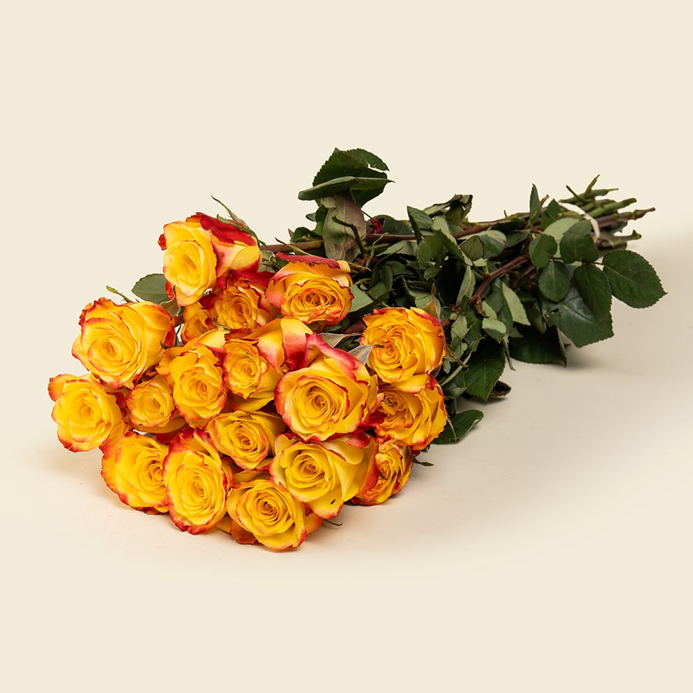 25 Yellow with Red Roses Bunch