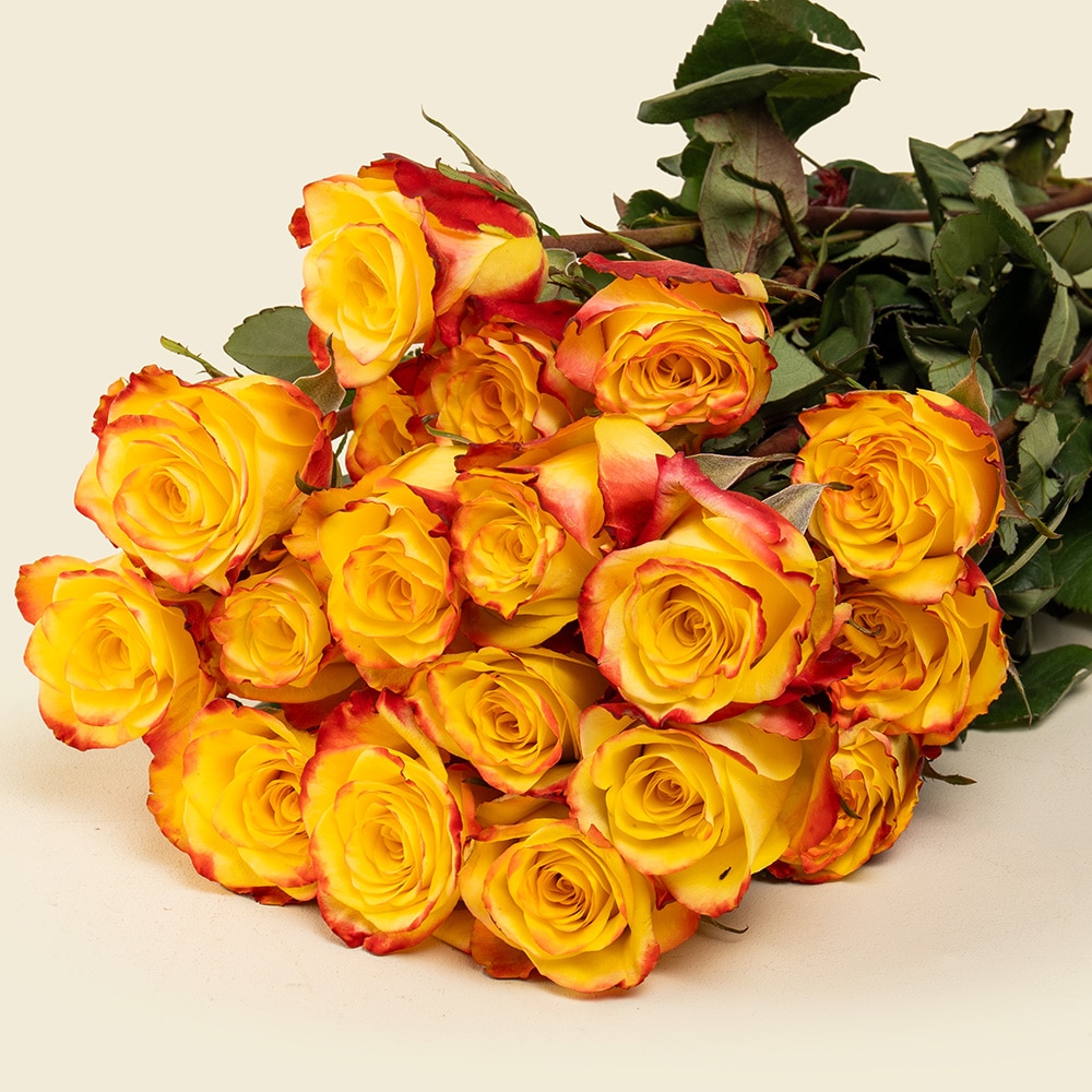 3.2 25 Yellow with Red Roses Bunch