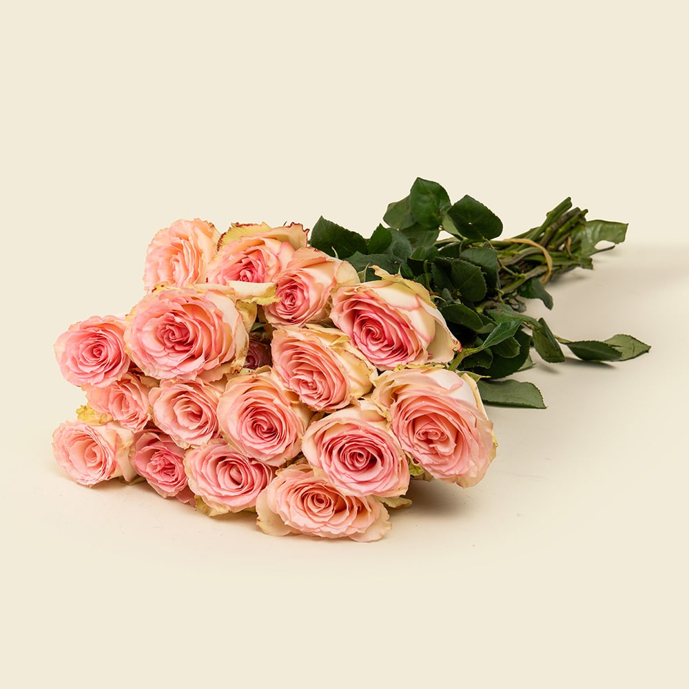 4 25 Light Pink with Pale Peach Roses Bunch