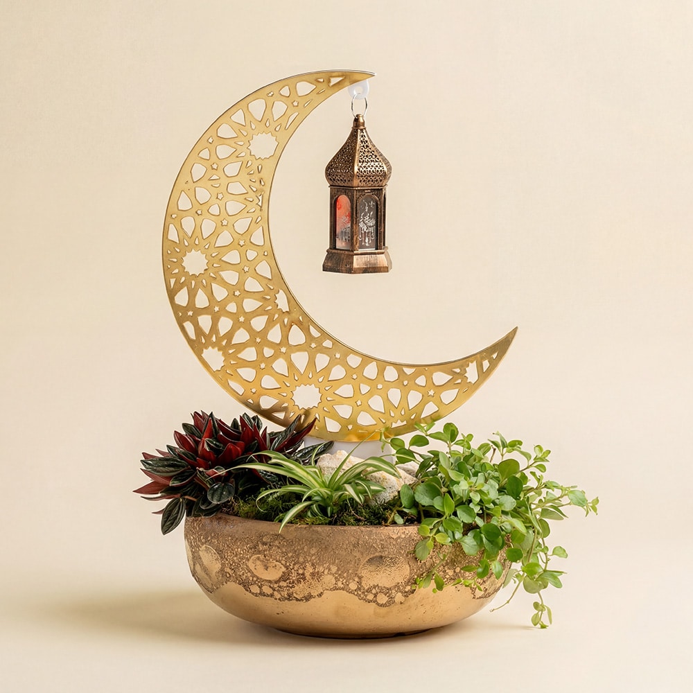 2 luxury-golden-crescent-succulent-planter-with-lantern