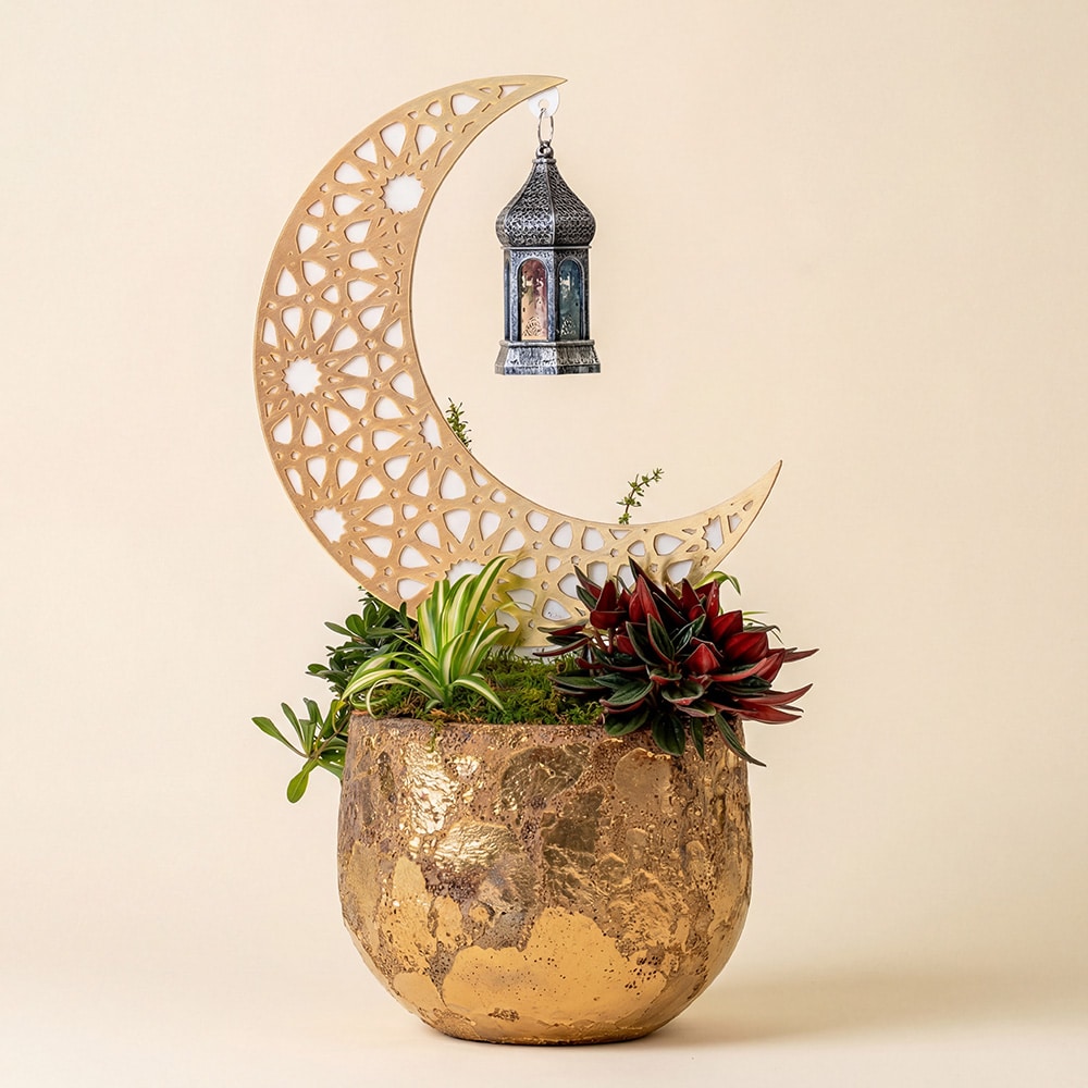 3 Luxury golden crescent succulent planter with hanging lantern in premium gold pot. Elegant Ramadan and Eid décor piece for Majlis, home, and corporate gifting.