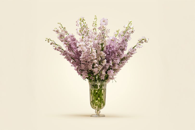 4 Purple Delphinium Glass Vase Arrangement 60cm