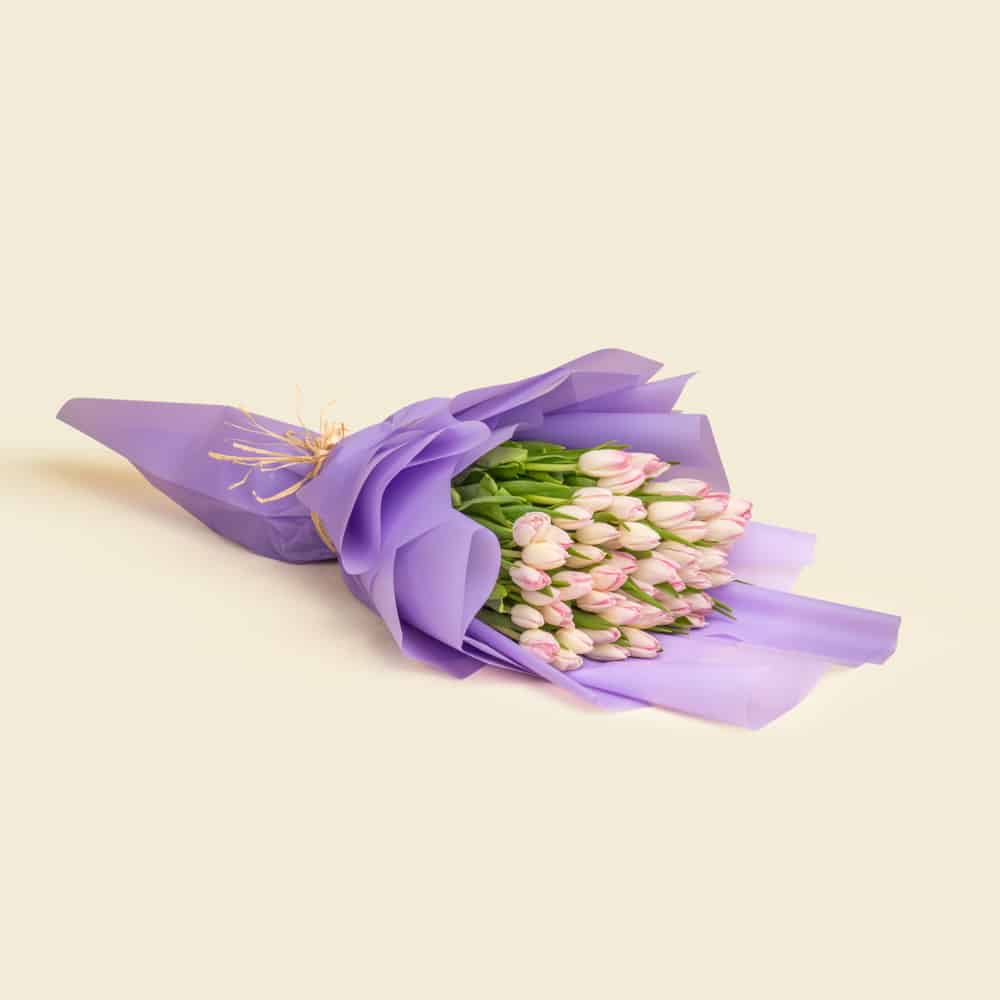 1 50 Light Pink Tulips Bouquet – Plaza Hollandi