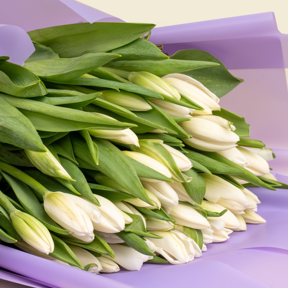5.5 50 White Tulips Hand-Tied Bouquet