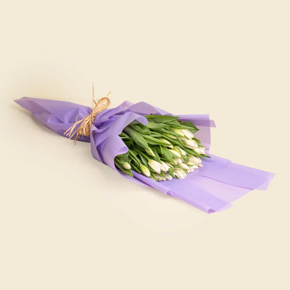 5 50 White Tulips Bouquet – Plaza Hollandi