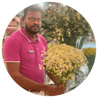 Lagoona Mall 1 Prashanthan